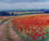 Orcia Valley - Poppy Path